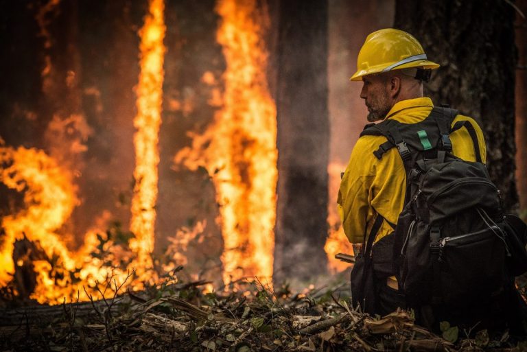 Clima, nel 2019 incendi triplicati in Italia: più di uno al giorno